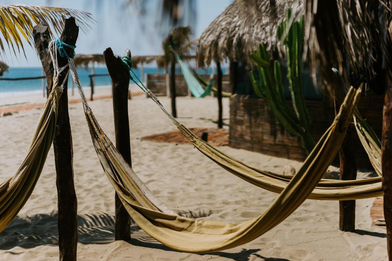 Waltako Beach Culture Otel Canoas de Punta Sal Dış mekan fotoğraf