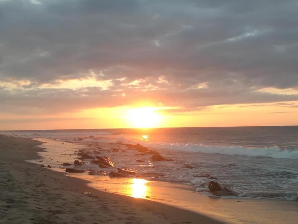 Waltako Beach Culture Otel Canoas de Punta Sal Dış mekan fotoğraf