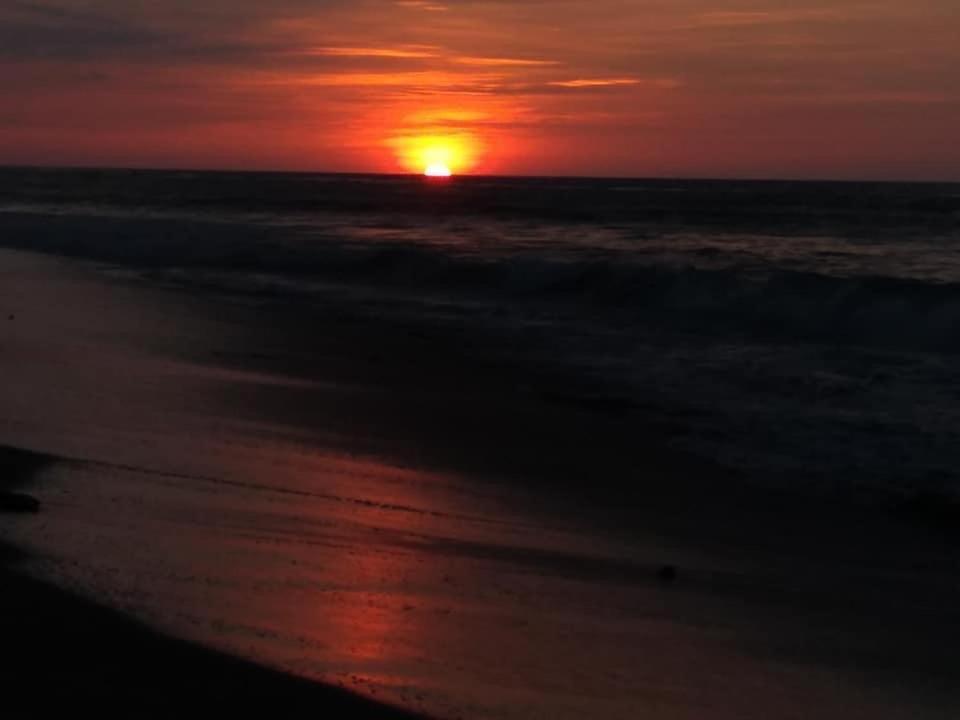 Waltako Beach Culture Otel Canoas de Punta Sal Dış mekan fotoğraf