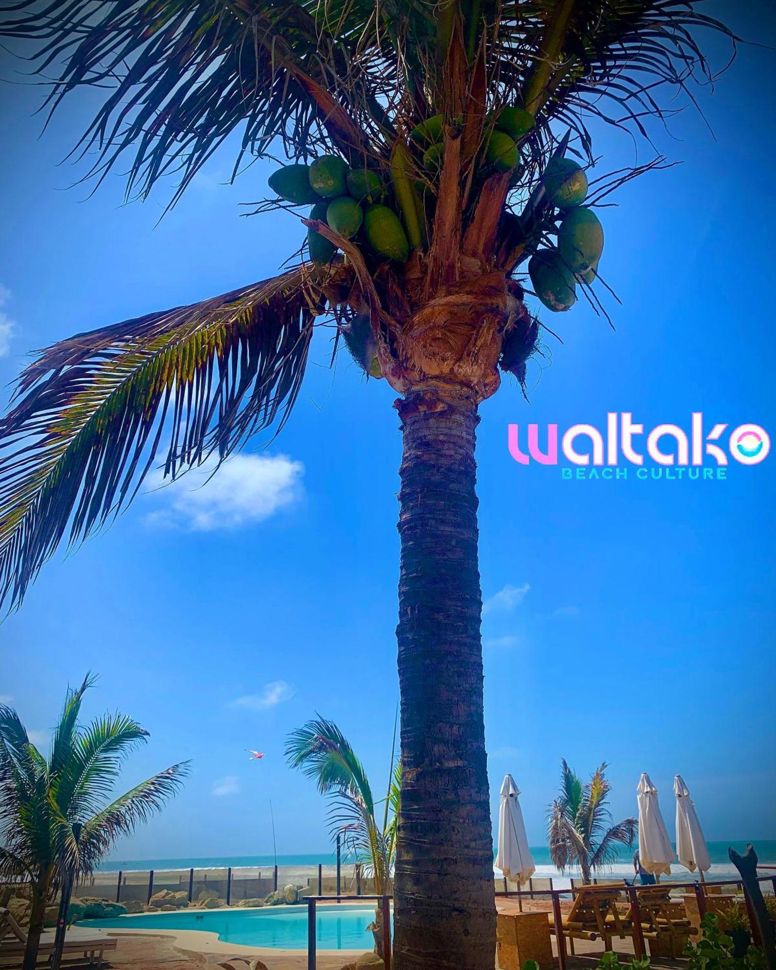 Waltako Beach Culture Otel Canoas de Punta Sal Dış mekan fotoğraf