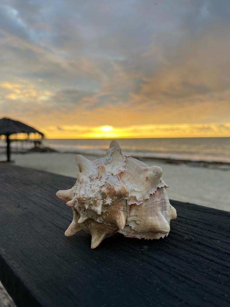 Waltako Beach Culture Otel Canoas de Punta Sal Dış mekan fotoğraf