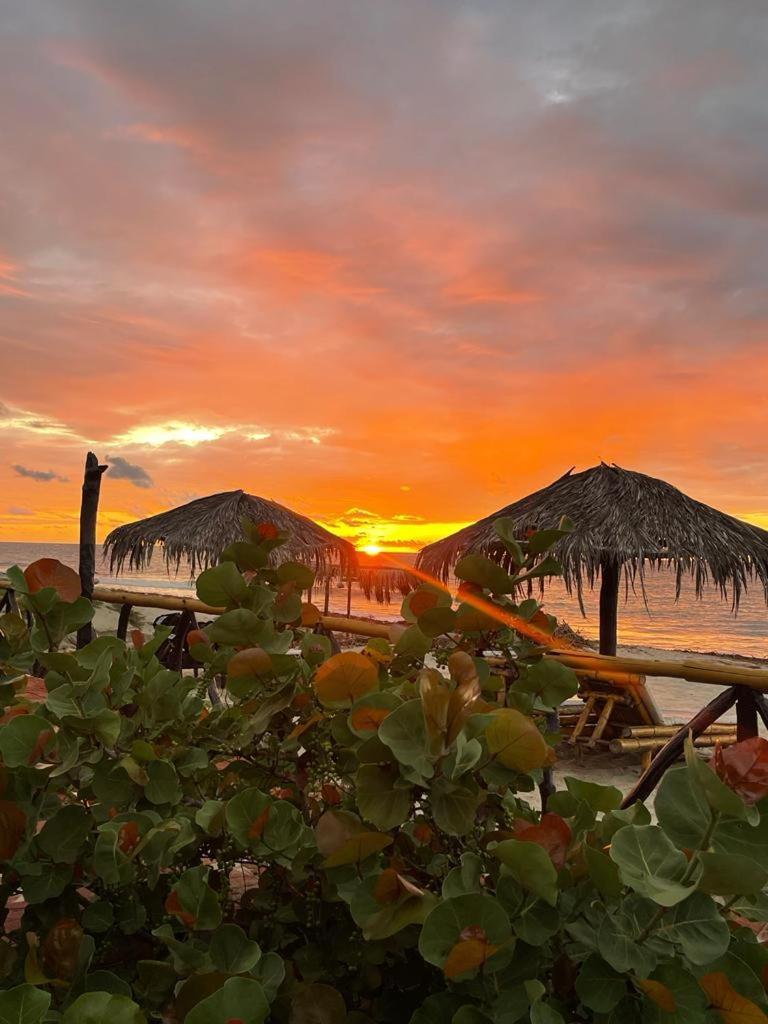 Waltako Beach Culture Otel Canoas de Punta Sal Dış mekan fotoğraf