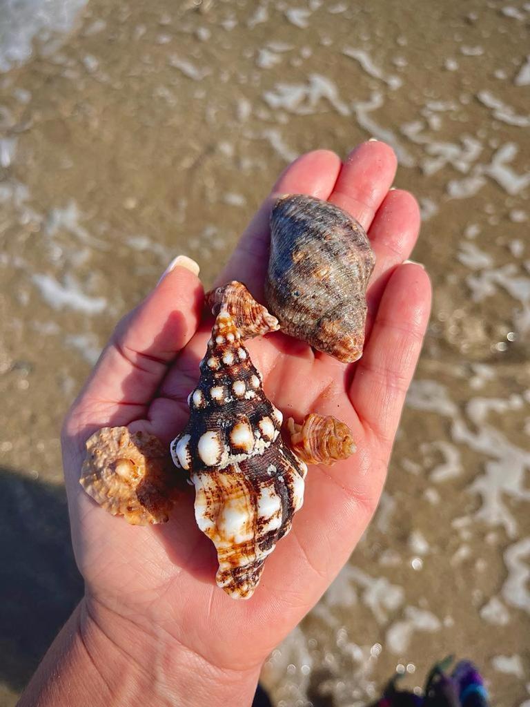 Waltako Beach Culture Otel Canoas de Punta Sal Dış mekan fotoğraf